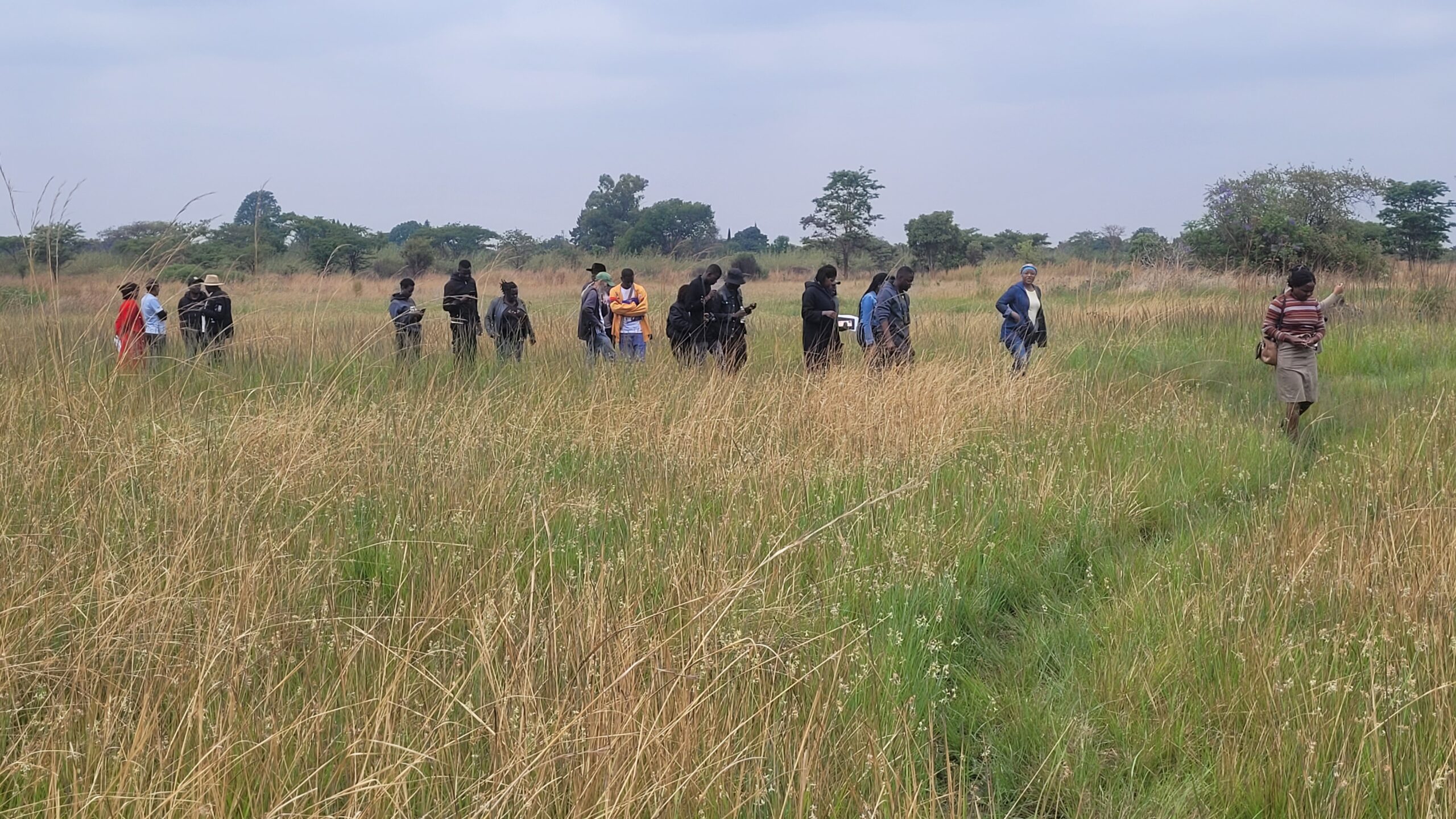 Participants during the tour walk through Monavale Vlei